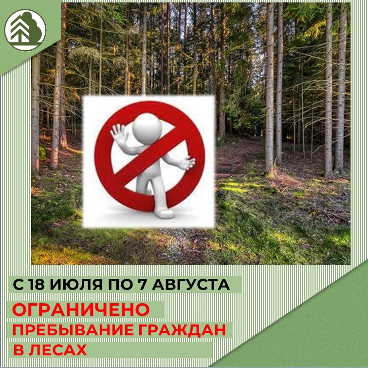 ВНИМАНИЕ!.